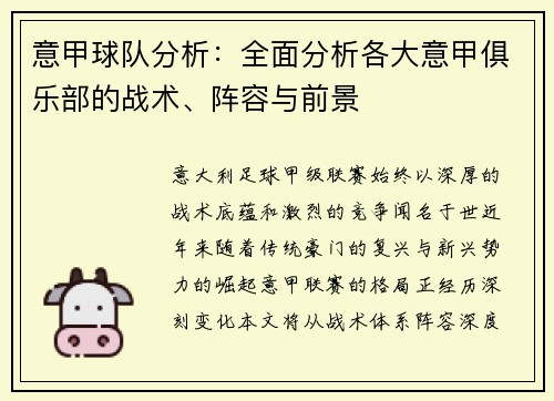 意甲球队分析：全面分析各大意甲俱乐部的战术、阵容与前景
